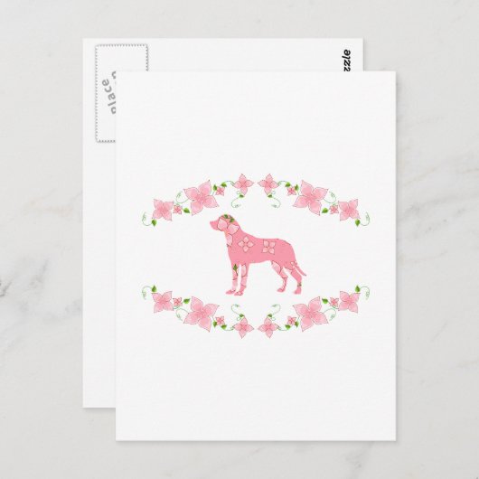 Grotere Zwitserse berghond Briefkaart (Voorkant / Achterkant)