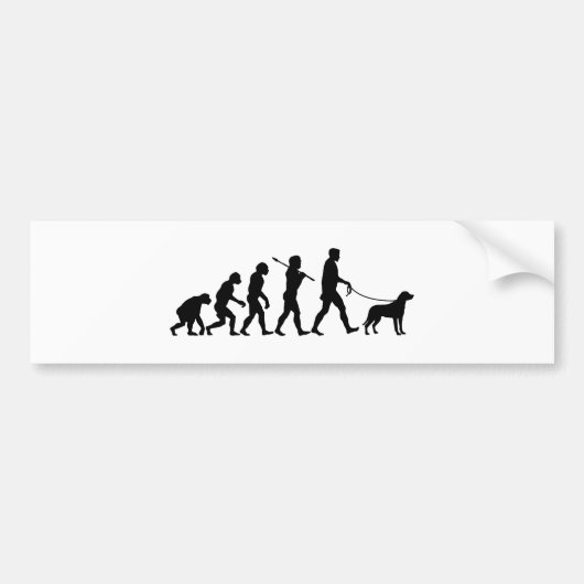 Grotere Zwitserse berghond Bumpersticker (Voorkant)