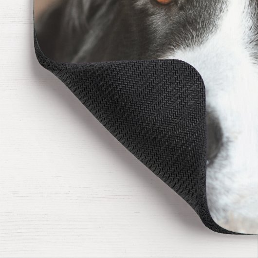 Grotere Zwitserse berghond Muismat (Hoek)