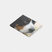 Grotere Zwitserse berghond Post-it® Notes (Schuin)