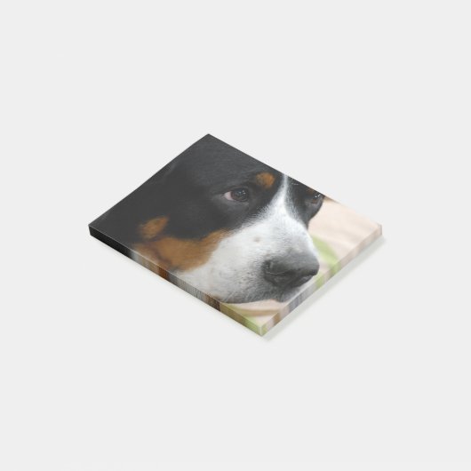 Grotere Zwitserse berghond Post-it® Notes (Schuin)