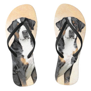 Grotere Zwitserse berghondschilderkunst - Oorspron Teenslippers