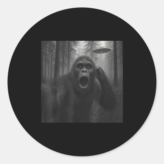 Grotevoet Alien Ufo Selfie Grappig Sasquatch Meme Ronde Sticker (Voorkant)