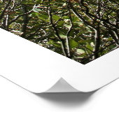 Grotformaties Poster (Hoek)