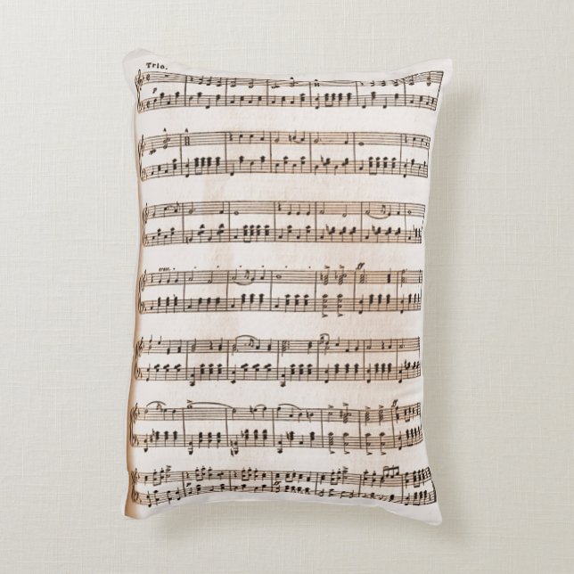 Grötlunken I Medevi accentkussen Accent Kussen (Achterkant (Verticaal))