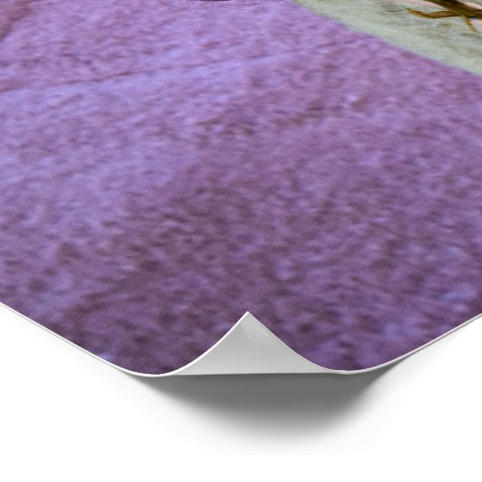 Grotschildering. poster (Hoek)