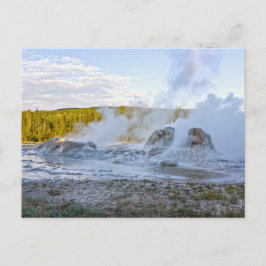 Grotto Geyser, Yellowstone National Park Briefkaart