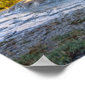 Grotto Geyser, Yellowstone National Park Poster (Hoek)