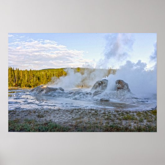 Grotto Geyser, Yellowstone National Park Poster (Voorkant)