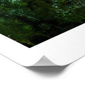 Grotto Springs 2 Fine Art-foto Poster (Hoek)