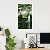 Grotto Springs 2 Fine Art-foto Poster (Thuiskantoor)