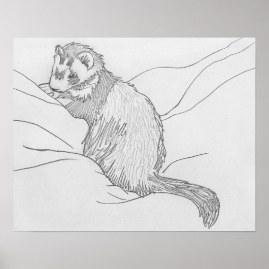 "Grouch" Ferret Drawing Poster (Voorkant)