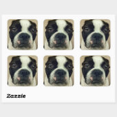 Grouchy Boston Terrier Vierkante Sticker (Vel)