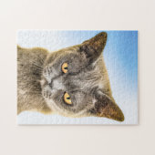 GROUCHY CUTE KITTY CAT ART JIGSAW PUZZZLE LEGPUZZEL (Horizontaal)