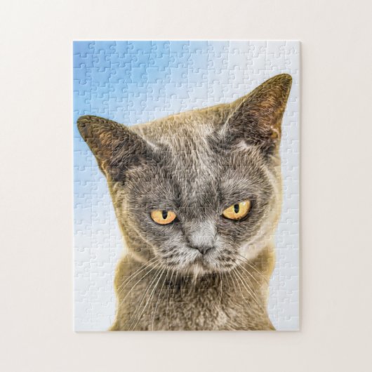 GROUCHY CUTE KITTY CAT ART JIGSAW PUZZZLE LEGPUZZEL (Verticaal)