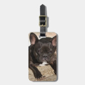 Grouchy French Bulldog Bagagelabel (Voorkant verticaal)
