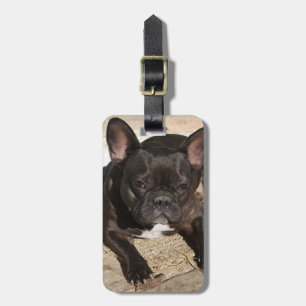 Grouchy French Bulldog Bagagelabel