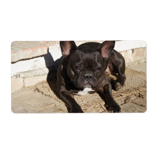 Grouchy French Bulldog Etiket (Voorkant)