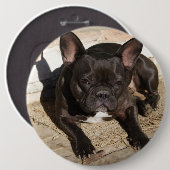 Grouchy French Bulldog Ronde Button 6,0 Cm (Voorkant /achterkant)