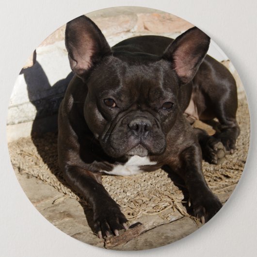 Grouchy French Bulldog Ronde Button 6,0 Cm (Voorkant)