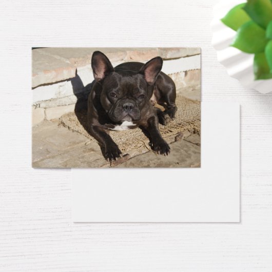 Grouchy French Bulldog Visitekaartje (Bureau)