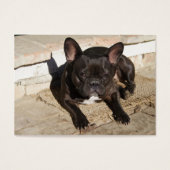 Grouchy French Bulldog Visitekaartje (Voorkant)