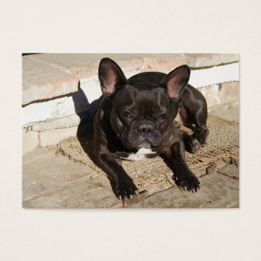 Grouchy French Bulldog Visitekaartje (Voorkant)