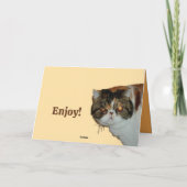 Grouchy Grumpy Cat Exotic Perzische grappige verja Kaart (Achterkant)