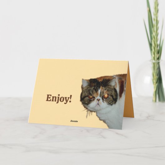 Grouchy Grumpy Cat Exotic Perzische grappige verja Kaart (Achterkant)