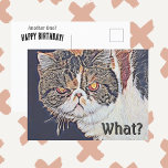 Grouchy Grumpy Cat Funny Verjaardag Briefkaart<br><div class="desc">Wat een andere Verjaardag? zegt deze grouchy exotisch kort haar Perzische poes op deze grappige en snarky Happy Birthday briefkaarten. Hallo Deze niet zo gelukkige chagrijnige kat zal zeker een glimlach op ieders gezicht toveren, ongeacht de gelegenheid voor verjaardagswensen of gewoon een alledaagse. Deze witte zwarte en bruine kat heeft...</div>