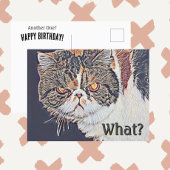 Grouchy Grumpy Cat Funny Verjaardag Briefkaart