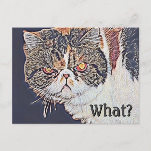 Grouchy Grumpy Cat Funny Verjaardag Briefkaart (Voorkant)