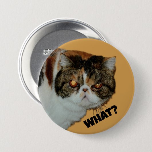 Grouchy Grumpy Cat Wat? Grappig fotografisch Ronde Button 7,6 Cm (Voorkant /achterkant)