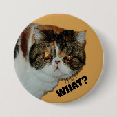 Grouchy Grumpy Cat Wat? Grappig fotografisch Ronde Button 7,6 Cm (Voorkant)
