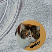 Grouchy Grumpy Cat Wat? Grappig fotografisch Ronde Button 7,6 Cm