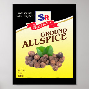 Ground Allspice Halloween Kostuum Unieke Leuke Foo Poster