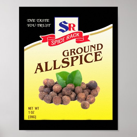 Ground Allspice Halloween Kostuum Unieke Leuke Foo Poster (Voorkant)