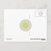 Ground Beetle Larva Briefkaart. Briefkaart (Achterkant)