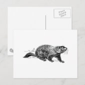 Ground Hog Briefkaart (Voorkant / Achterkant)