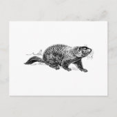 Ground Hog Briefkaart