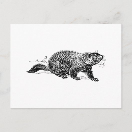 Ground Hog Briefkaart (Voorkant)