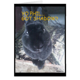 Ground Hog Day/Paaskaart