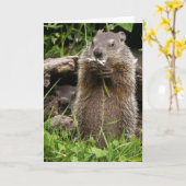 Ground Hog Munching op een Vloer Kaart (Gele Bloem)