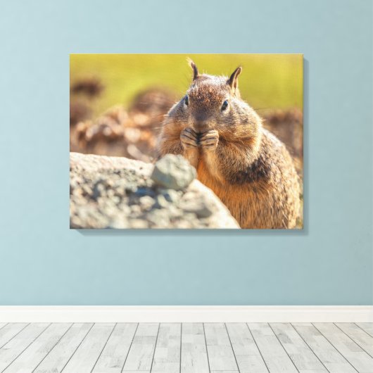 Ground Squirrel Canvas Afdruk (Insitu (Houten vloer))