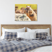Ground Squirrel Canvas Afdruk (Insitu (Slaapkamer))