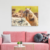Ground Squirrel Canvas Afdruk (Insitu (Woonkamer))