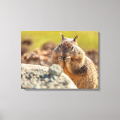 Ground Squirrel Canvas Afdruk (Voorkant)