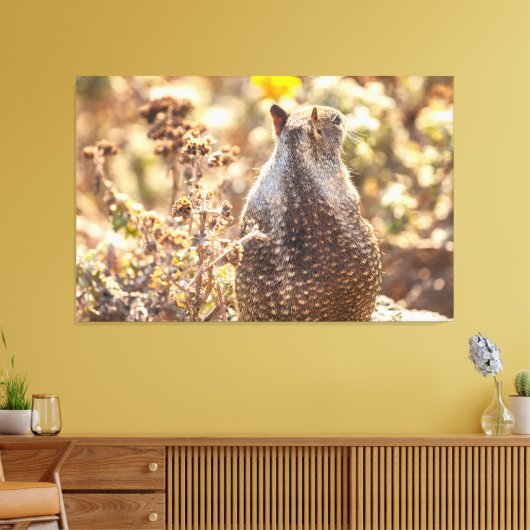 Ground Squirrel Canvas Afdruk (Insitu (Woonkamer))