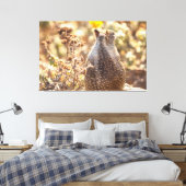 Ground Squirrel Canvas Afdruk (Insitu (Slaapkamer))