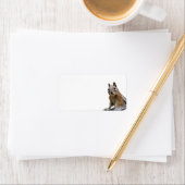 Ground Squirrel Etiket (Insitu)